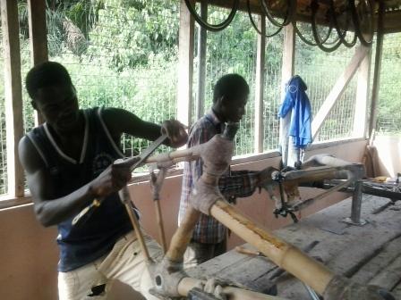 Ghana’s emerging billion dollar bamboo industry