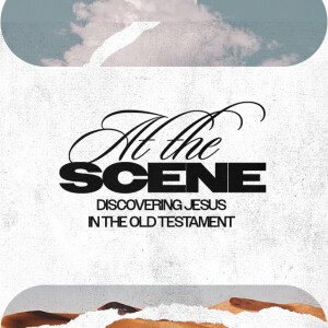 At the Scene - Holy Curiosity