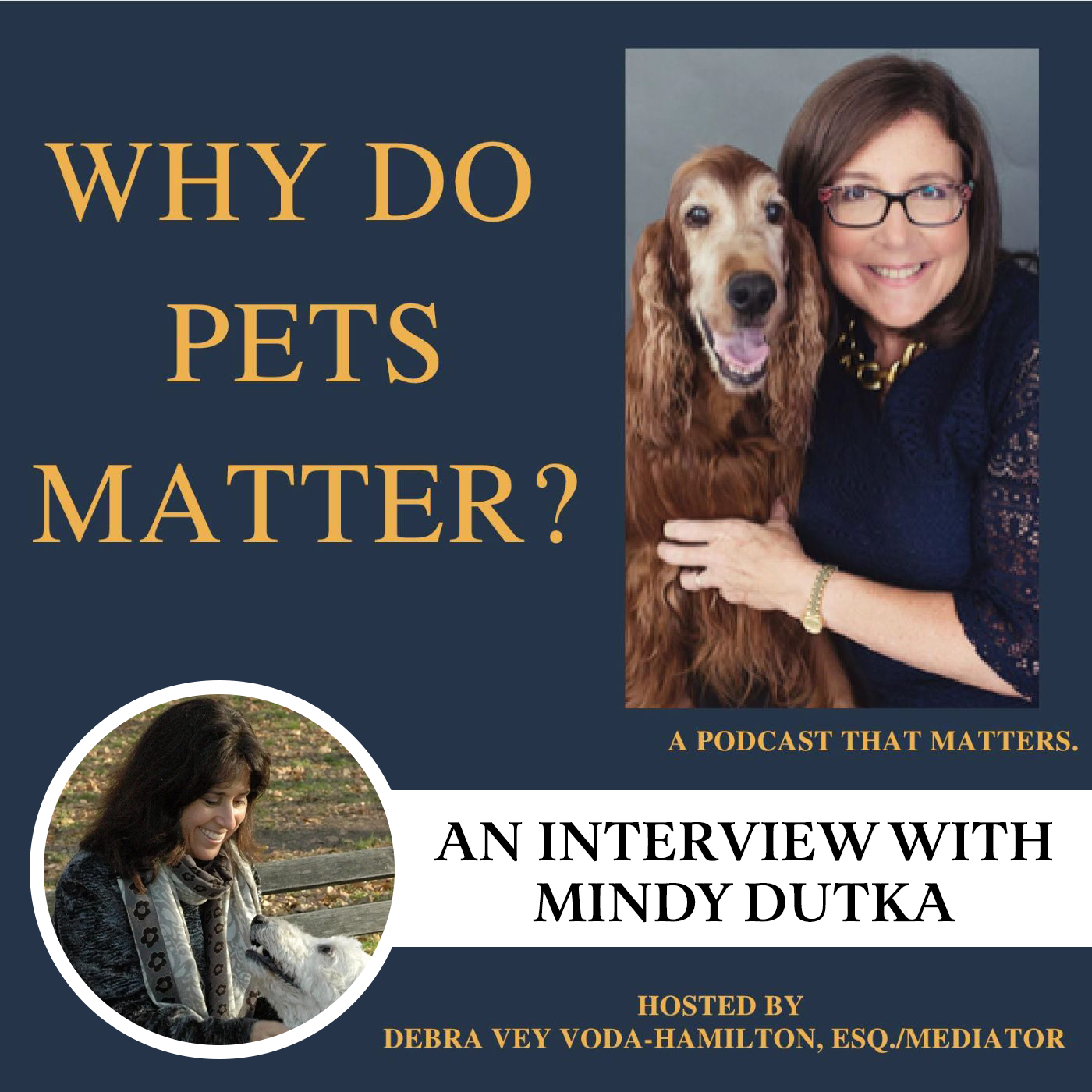 Interview with Mindy Dutka - Helping communities in Suriname live in harmony with their pets
