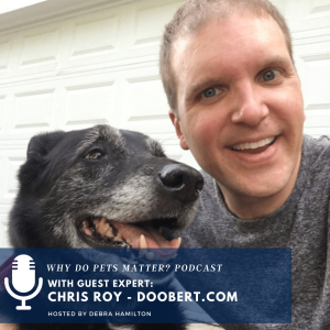 Chris Roy of Doobert.com - The Airbnb of Rescues and Shelters - on 