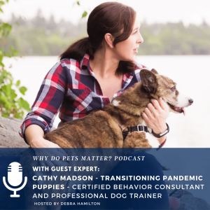 Cathy Madson - Transitioning Back To Work with Pandemic Puppies on "Why Do Pets Matter?" hosted by Debra Hamilton #177