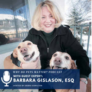 Barbara Gislason - International and Local Animal Law, Divorcing with Pets and Dog Deaths on ”Why Do Pets Matter?” Podcast hosted by Debra Hamilton EP 194