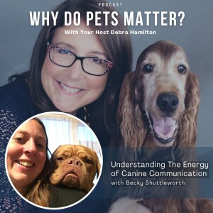 Becky Shuttleworth - Canine Communication on ”Why Do Pets Matter?” hosted by Debra Hamilton EP 205