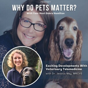 Dr. Jessica May, MRCVS - Exciting Developments With Veterinary Telemedicine on ”Why Do Pets Matter?” hosted by Debra Hamilton EP 212