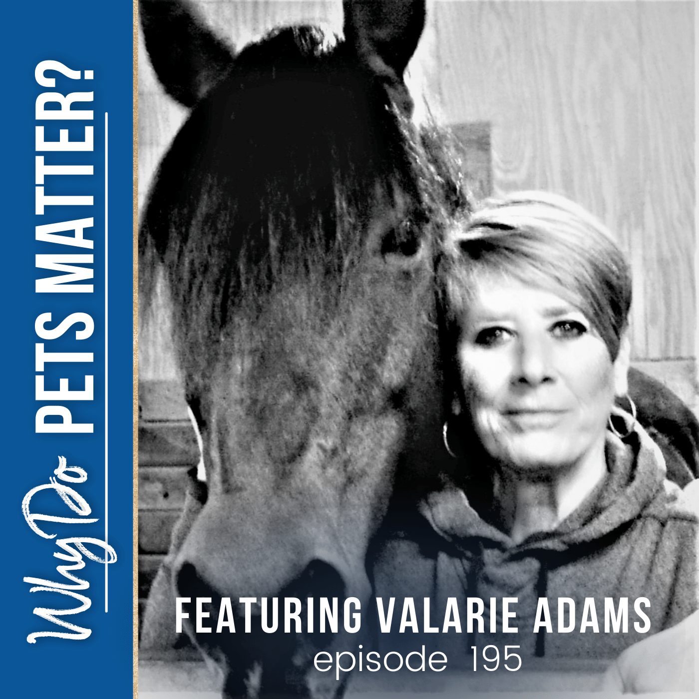Why Do Pets Matter? Hosted by Debra Hamilton, Esq.
