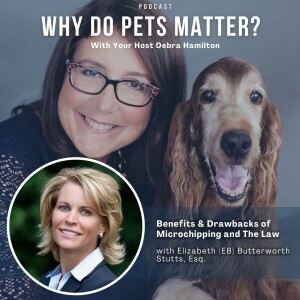 Elizabeth (EB) Butterworth Stutts, Esq - Benefits & Drawbacks of Microchipping and The Law on ”Why Do Pets Matter?” hosted by Debra Hamilton EP 209