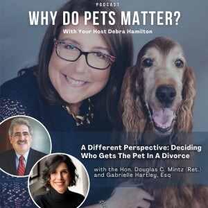 A Different Perspective: Deciding Who Gets The Pet In A Divorce with the Hon. Doug Mintz (Ret) and Gabrielle Hartley, Esq on ”Why Do Pets Matter?” hosted by Debra Hamilton EP 213