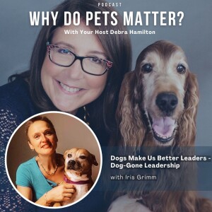 Iris Grimm - Dogs Make Us Better Leaders on ”Why Do Pets Matter?” hosted by Debra Hamilton EP 210