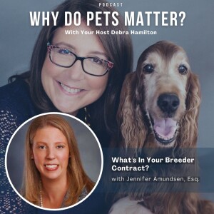 Jennifer Amundsen, Esq. - What’s In Your Breeder Contract? on ”Why Do Pets Matter?” hosted by Debra Hamilton EP 211