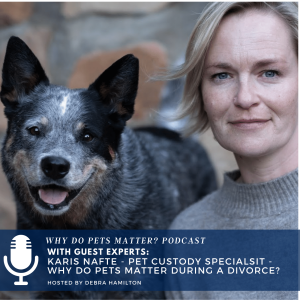 Karis Nafte - Pet Custody Specialist - Why Do Pets Matter During A Divorce? on ”Why Do Pets Matter?” hosted by Debra Hamilton #181