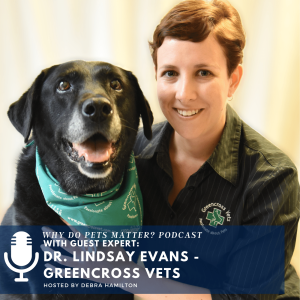 Dr. Lindsay Evans -- Veterinarian and Regional Clinical Director for Greencross Vets in Australia on 
