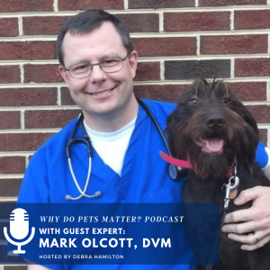 Mark Olcott DVM: VitusVet Creating A Better Connection Between Veterinarians and Pet Owners on 