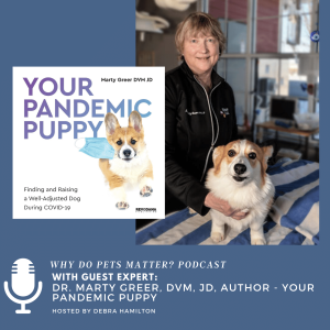 Dr. Marty Greer, DVM, JD - Your Pandemic Puppy on ”Why Do Pets Matter?” hosted by Debra Hamilton #182