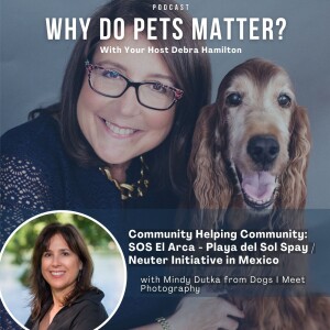 Mindy Dutka - Community Helping Community: SOS El Arca - Playa del Sol Spay / Neuter Initiative on ”Why Do Pets Matter?” hosted by Debra Hamilton EP 216