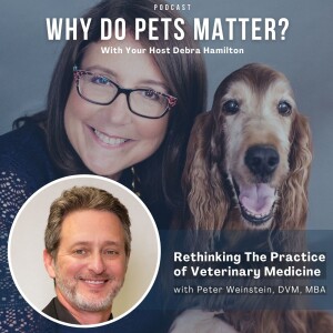 Dr. Peter Weinstein, DVM - Rethinking The Practice of Veterinary Medicine on ”Why Do Pets Matter?” hosted by Debra Hamilton EP 204