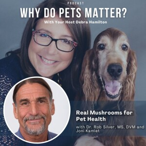 Dr. Rob Silver, MS, DVM and Joni Kamlet - Real Mushrooms for Pets on ”Why Do Pets Matter?” hosted by Debra Hamilton EP 203