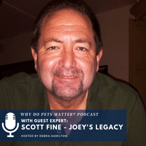 Scott Fine - Joey's Legacy  - Truth and Integrity in Veterinary Medicine on 
