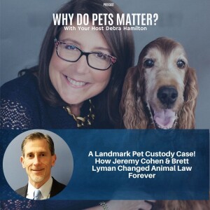A Landmark Pet Custody Case! How Jeremy Cohen & Brett Lyman Changed Animal Law Forever