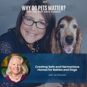 Creating Safe and Harmonious Homes for Babies and Dogs With Jen Shryock