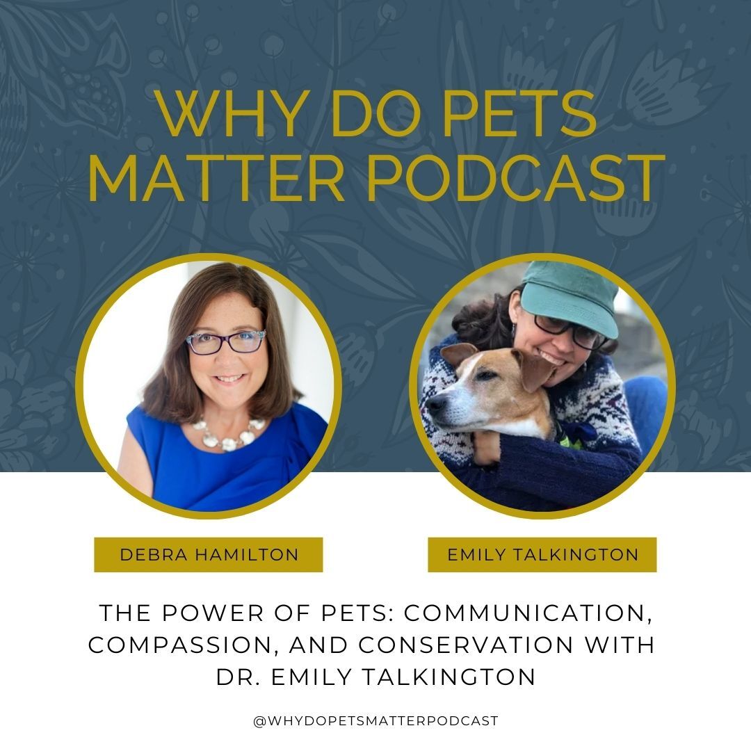 Why Do Pets Matter? Hosted by Debra Hamilton, Esq.
