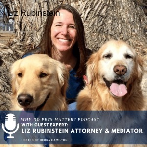 Liz Rubinstein: CEO of GingerLead, Attorney and Mediator on ”Why Do Pets Matter?” hosted by Debra Hamilton #171