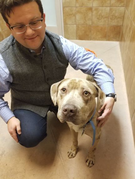 Why Do Pets Matter? Hosted by Debra Hamilton, Esq.