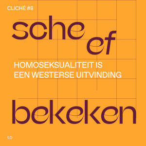 Homoseksualiteit is een Westerse uitvinding