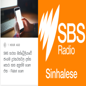 SBS Sinhala Radio: SMS හරහා ඔස්ට්‍රේලියාවේ ජංගම දුරකථනවල දත්ත සොරා කන අලුත්ම scam එක - Flubot scam