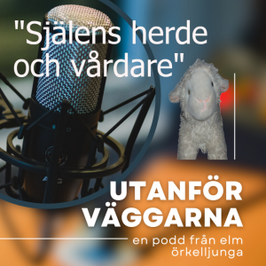 11 Själens vård