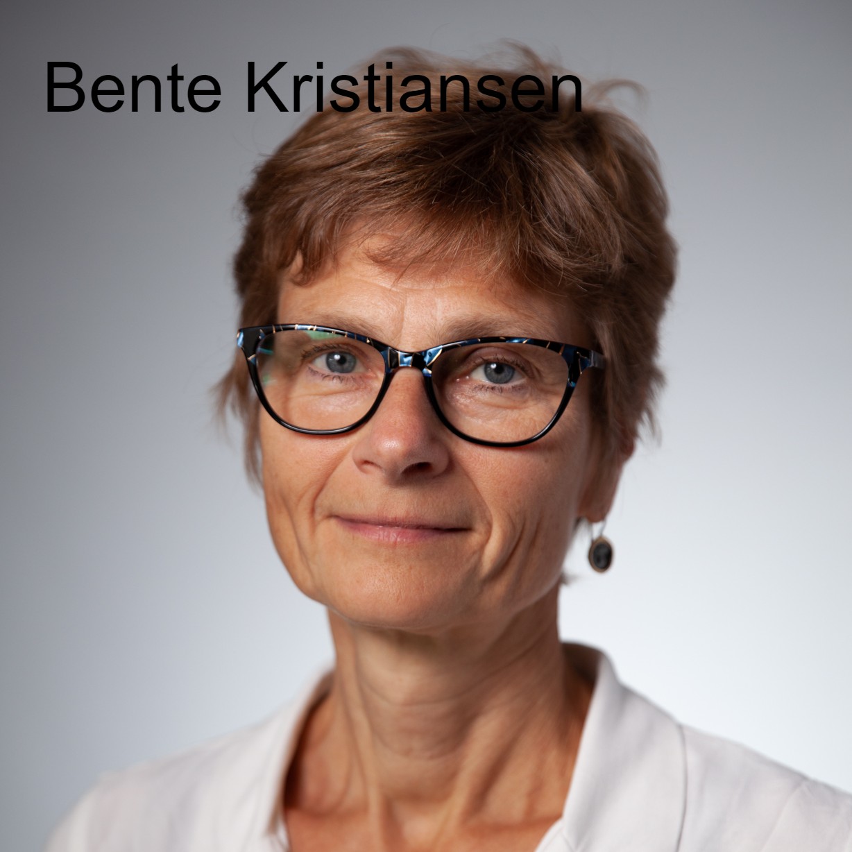 Akademisk kyndighet (academic literacy) v. Bente Kristiansen