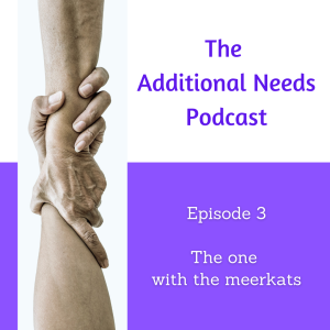 Additional Needs Podcast (3) The one with the Meerkats