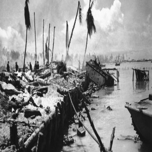 Sgt Michael Witowich and the Devil Dogs of Tarawa