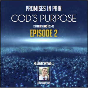 #2 The Promise of God's Purpose