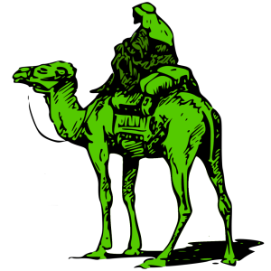 Part 1 of the Dark Web: The Silk Road & Ross Ulbricht (AKA The Dread Pirate Roberts)