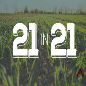 21 in 21 - The Gap