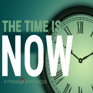 The Time is Now - From Curse to the Ring