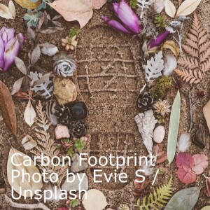 11 Practical Tips for Reducing Your Carbon Footprint Every Day