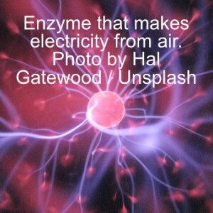 Scientists discover enzyme that makes electricity from air