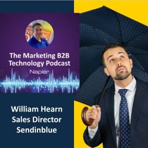 Interview with William Hearn at Sendinblue