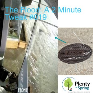 The Flood: A 2 Minute Tweak #019