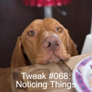 Tweak #068: Noticing Things