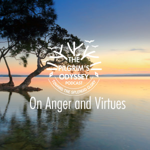 On Anger and Virtues