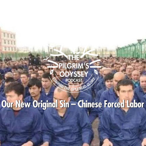 Our New Original Sin - Chinese Forced Labor
