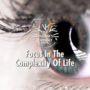 Focus In the Complexity Of Life