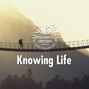 Knowing Life