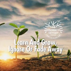 Learn And Grow, Ignore Or Fade Away