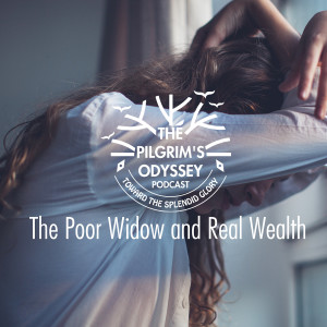 The Poor Widow and Real Wealth