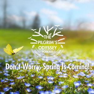 Don't Worry, Spring Is Coming!