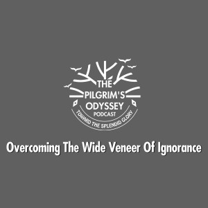 Overcoming The Wide Veneer Of Ignorance