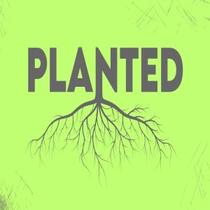 PLANTED